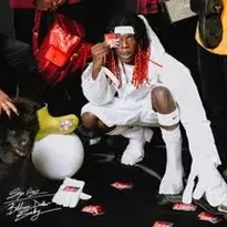 Albert Einstein by Seyi Vibez