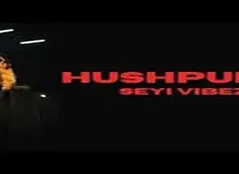 Hushpuppi image