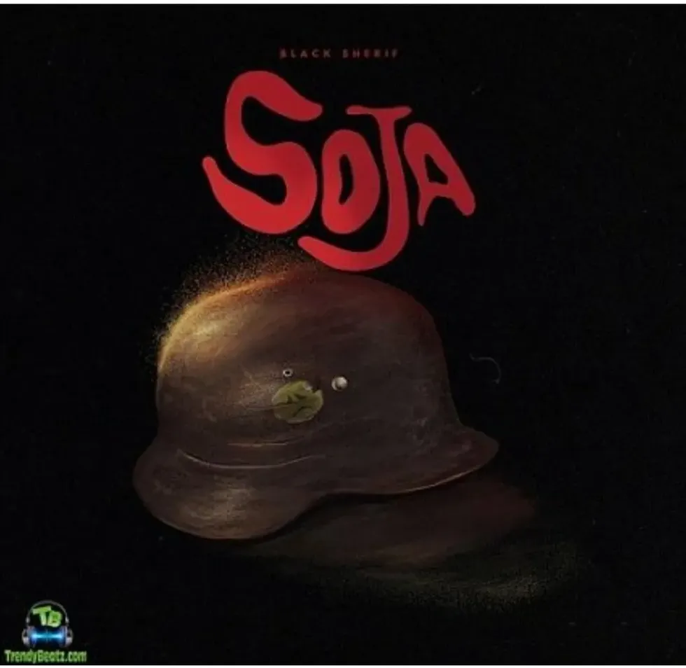 Soja image